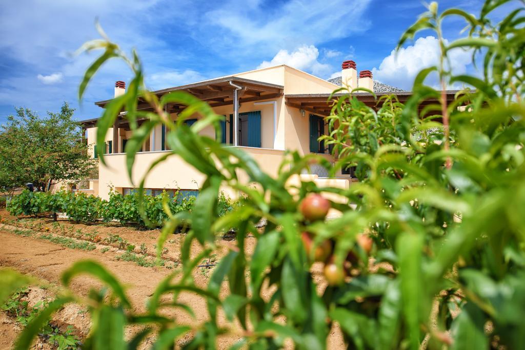 Naxos Cottage Kato Sangrion Esterno foto